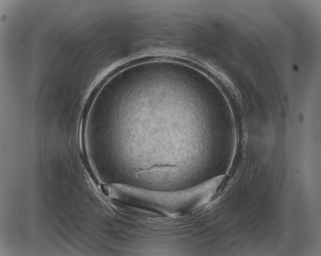 X0000085321272200703161456