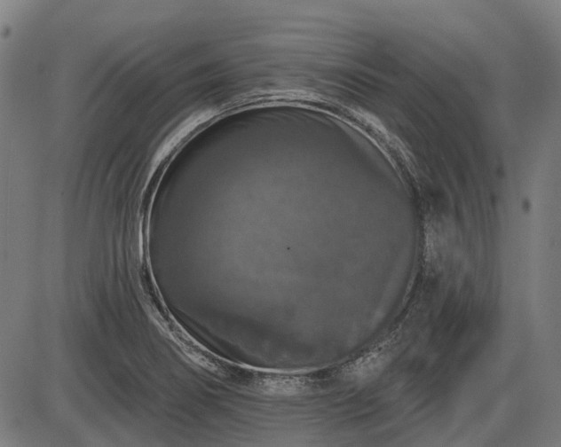 X0000085321274200703161456