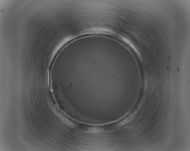 X0000085321275200703161456