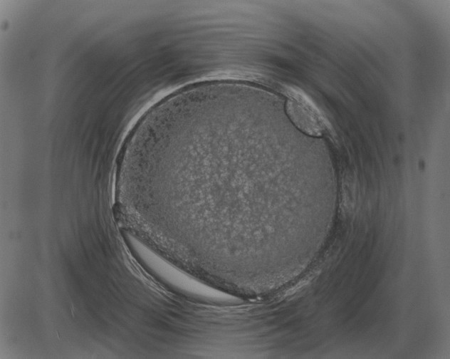 X0000085321276200703161456