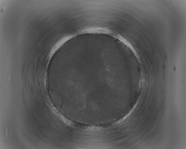 X0000085321277200703161456