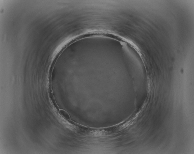 X0000085321279200703161456