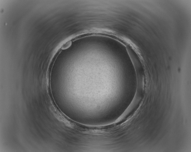 X0000085321280200703161456