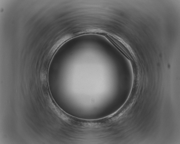 X0000085321281200703161456