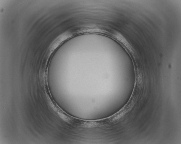 X0000085321282200703161456