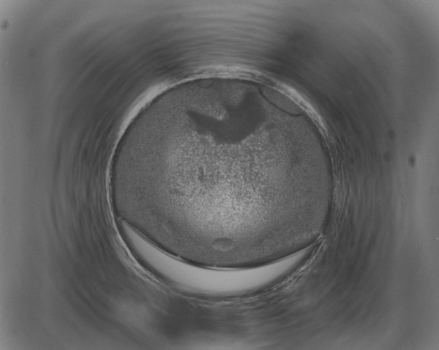 X0000085321283200703161456