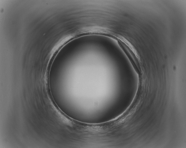 X0000085321285200703161456