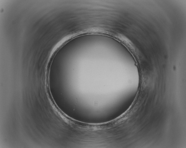 X0000085321286200703161456