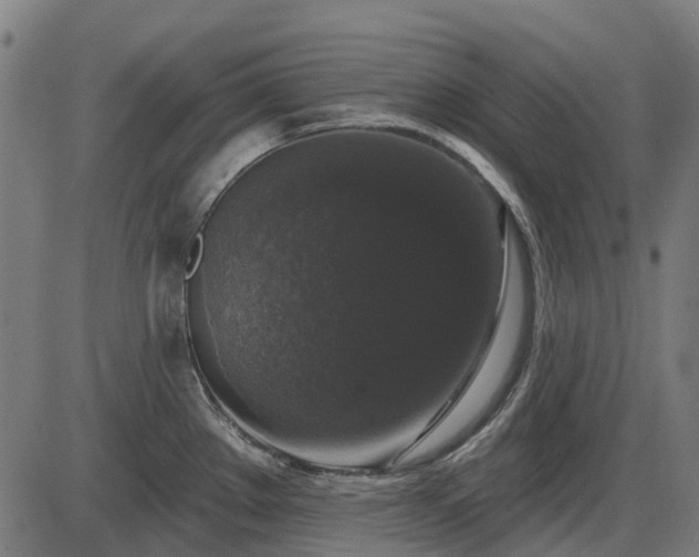 X0000085321289200703161456