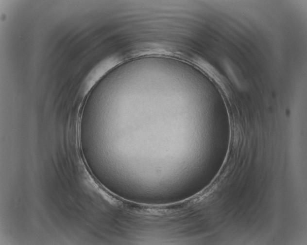 X0000085321290200703161456