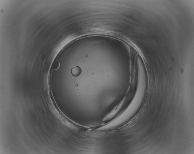 X0000085321291200703161456