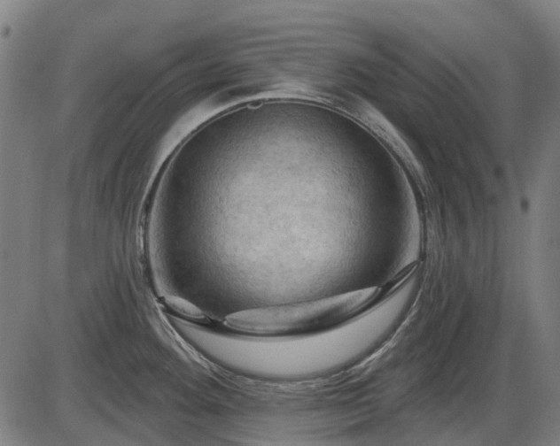 X0000085321292200703161456