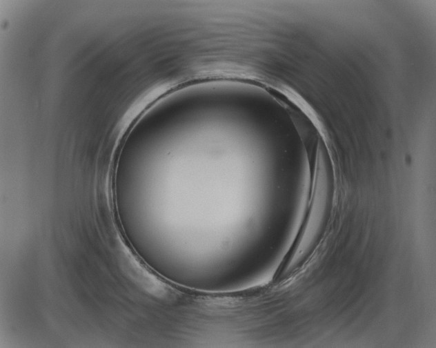 X0000085321293200703161456