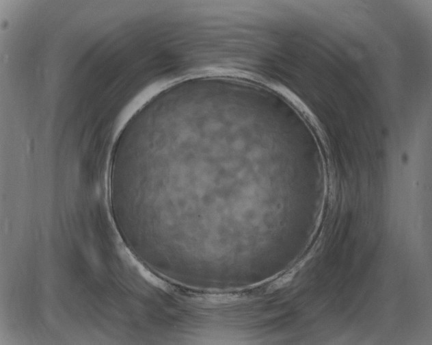 X0000085321294200703161456