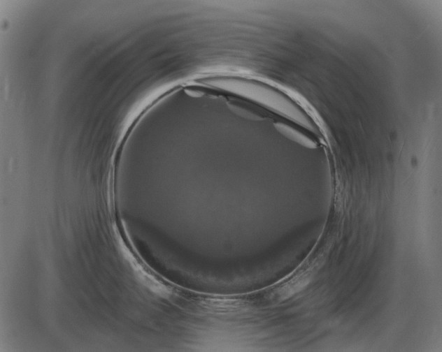 X0000085321295200703161456