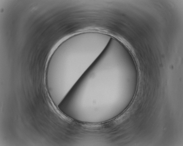 X0000085321296200703161456