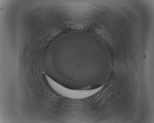 X0000085321297200703161455