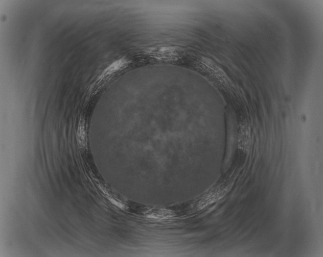 X0000085321298200703161455