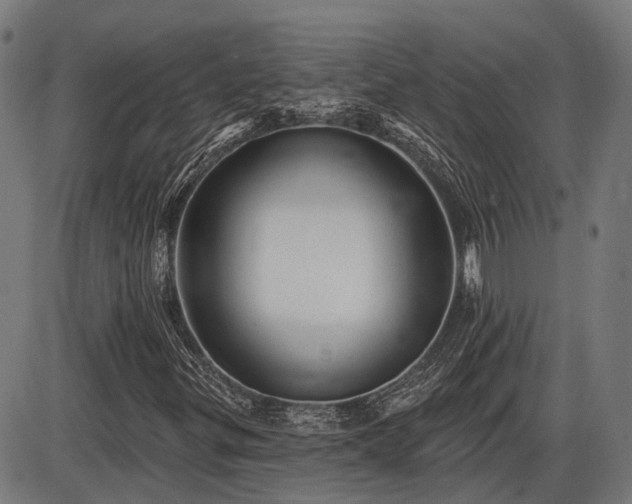 X0000085321299200703161455