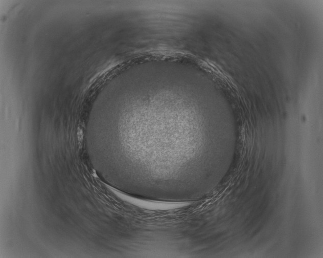 X0000085321302200703161455