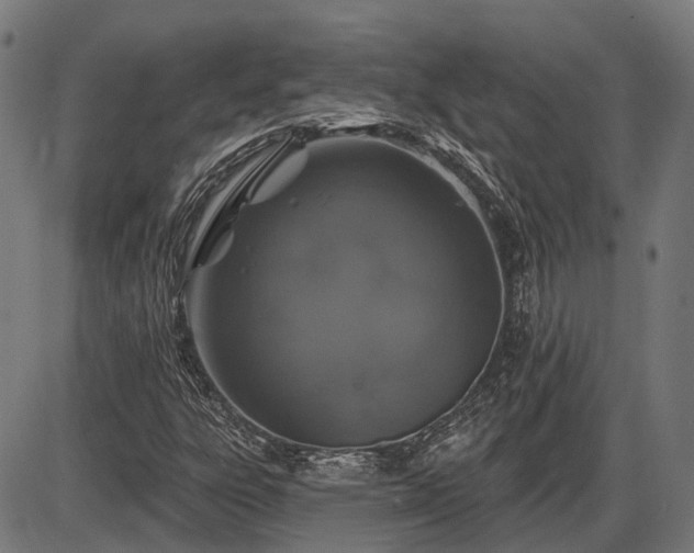 X0000085321303200703161455