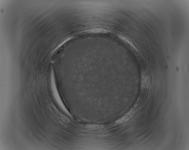 X0000085321305200703161455