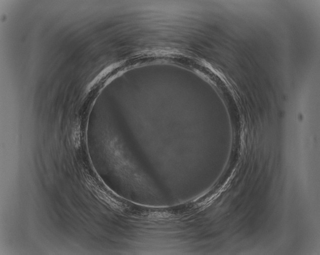 X0000085321306200703161455