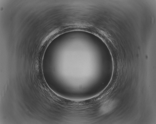 X0000085321307200703161455
