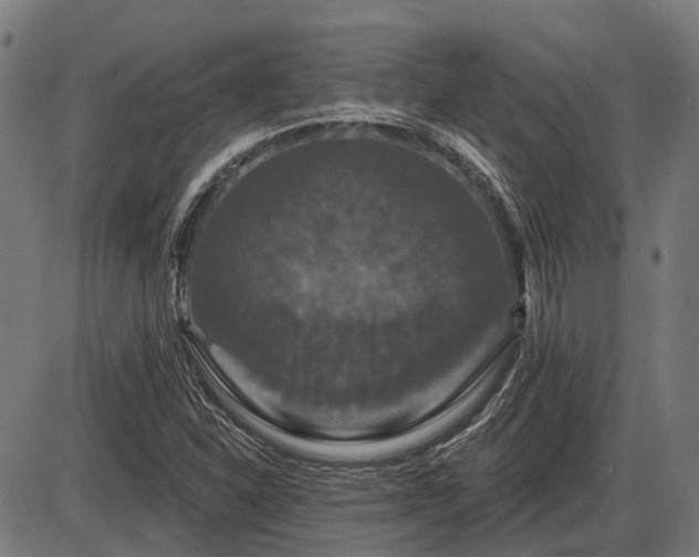 X0000085321310200703161455