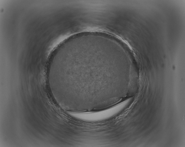X0000085321311200703161455