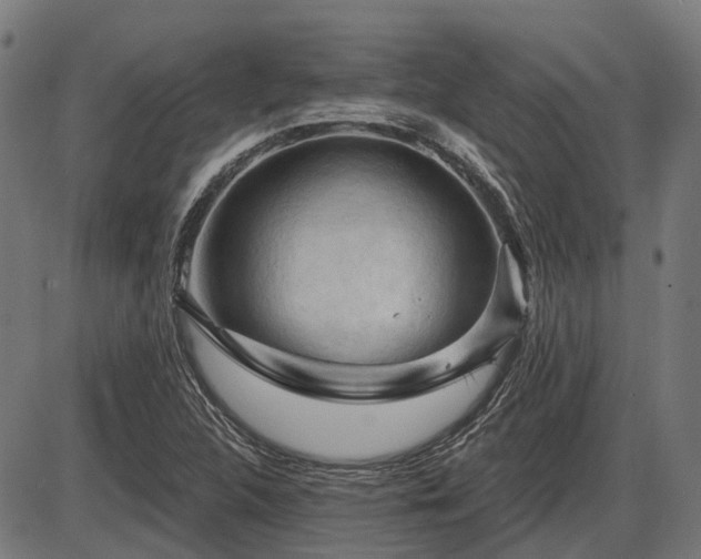 X0000085321312200703161455