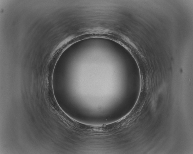 X0000085321315200703161455