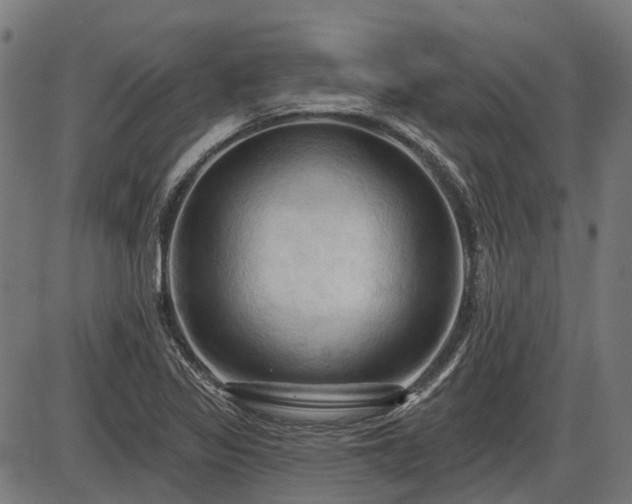 X0000085321317200703161455