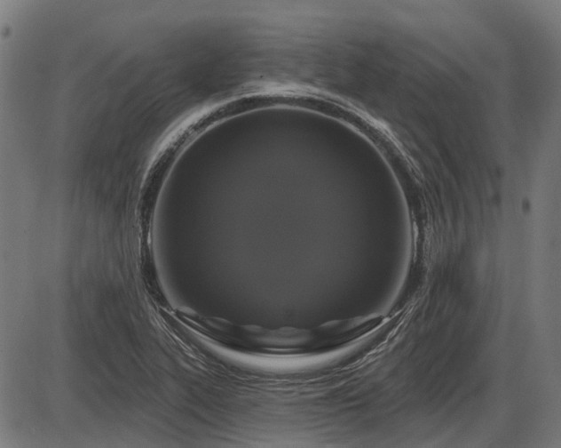 X0000085321319200703161455