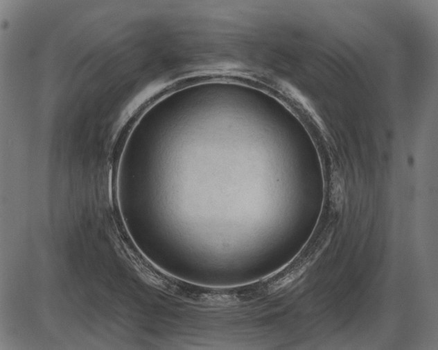 X0000085321320200703161455