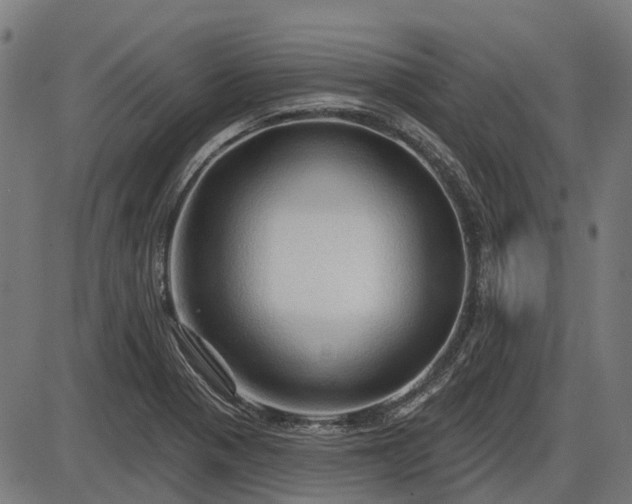 X0000085321321200703161455