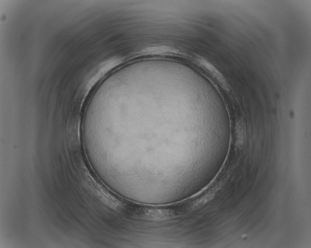 X0000085321322200703161456