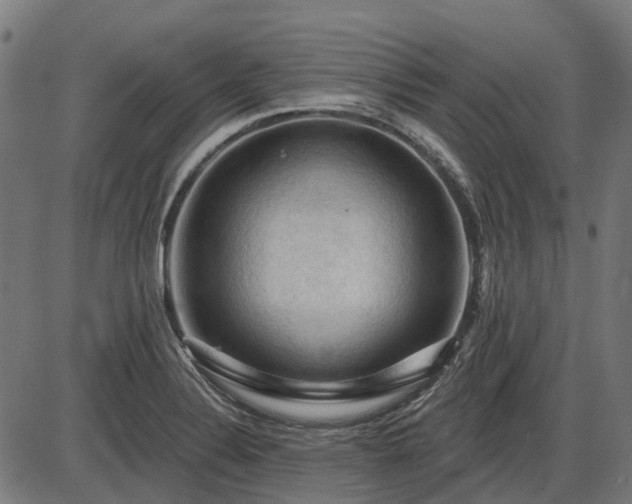 X0000085321324200703161456