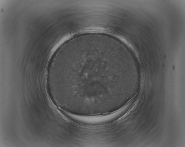 X0000085321325200703161456