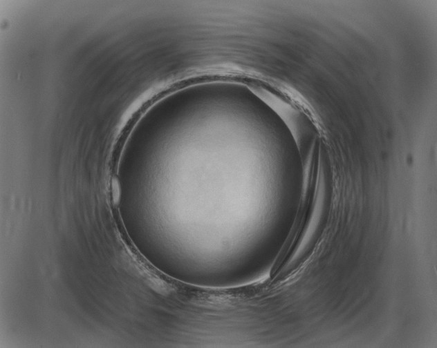 X0000085321326200703161456