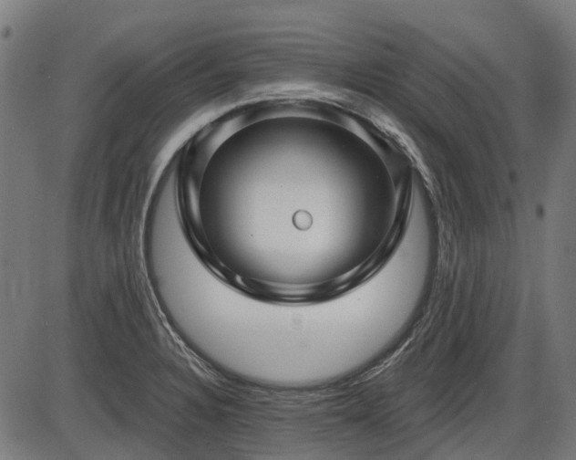 X0000085321328200703161456