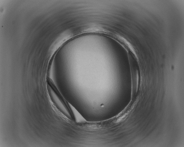 X0000085321330200703161456