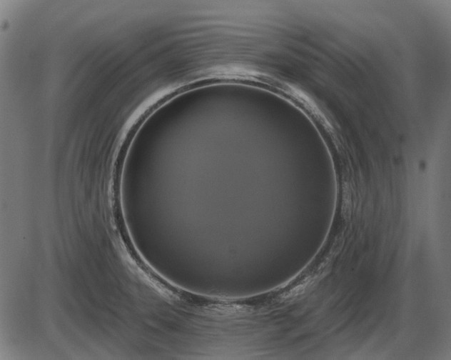 X0000085321331200703161456