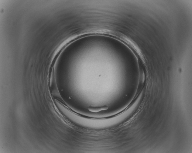 X0000085321332200703161456