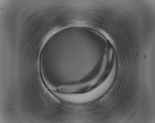 X0000085321334200703161456