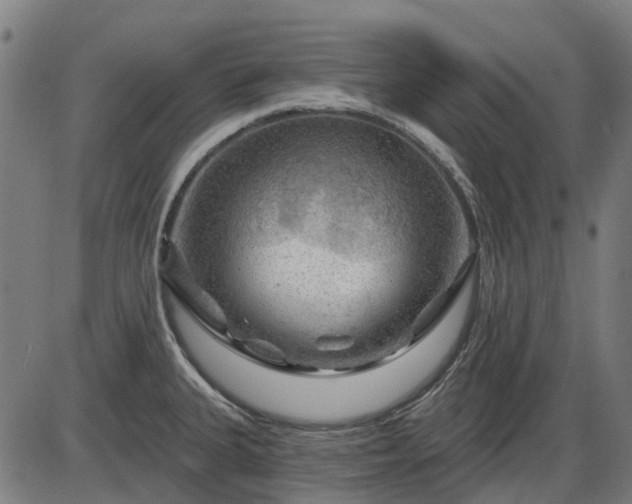 X0000085321335200703161456