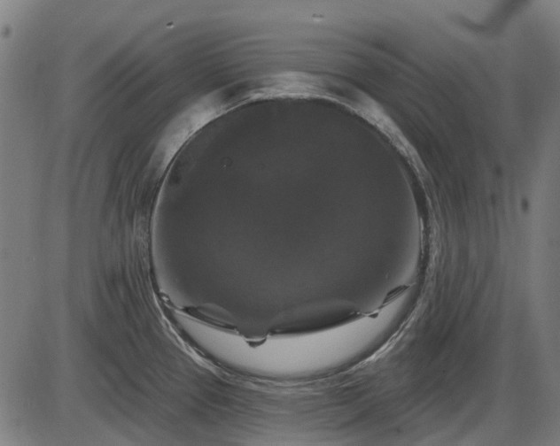 X0000085321337200703161456