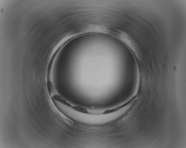 X0000085321339200703161456