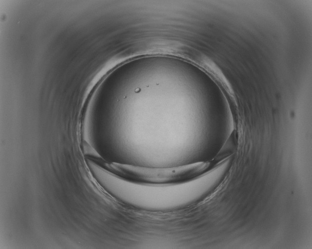 X0000085321340200703161456