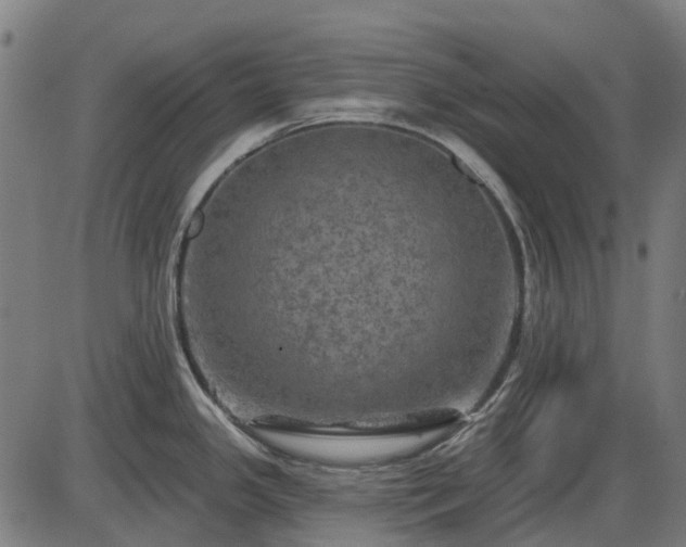 X0000085321341200703161456